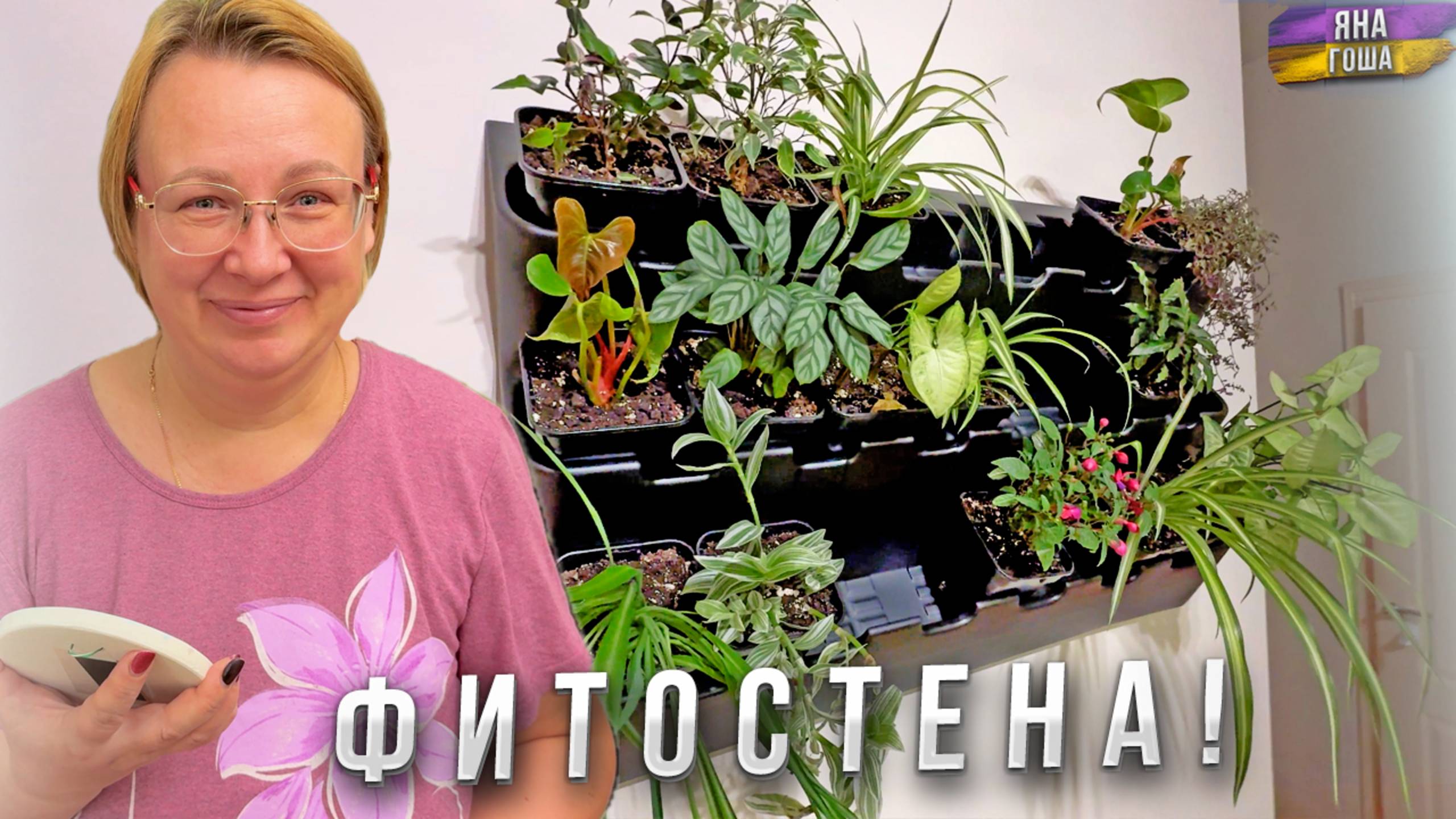 У нас теперь есть ФИТОСТЕНА! А вы знаете, что это такое? Обновления в доме! смотреть онлайн