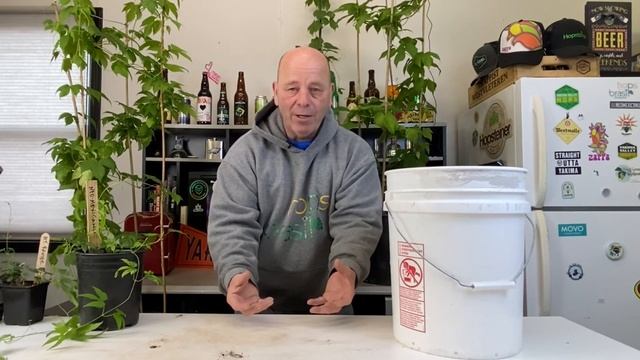 HOW TO GROW (PLANT) HOPS IN POTS ! HOPS WORLD TIP 57 смотреть онлайн