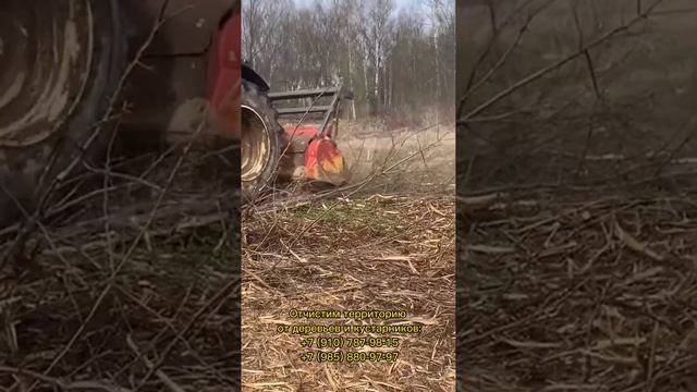 Очистка территории от деревьев и кустарников смотреть онлайн