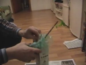 Как сохранить саженцы до посадки//Мастер-класс.