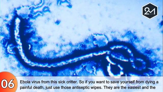 10 Dirtiest Objects We Touch Every day смотреть онлайн