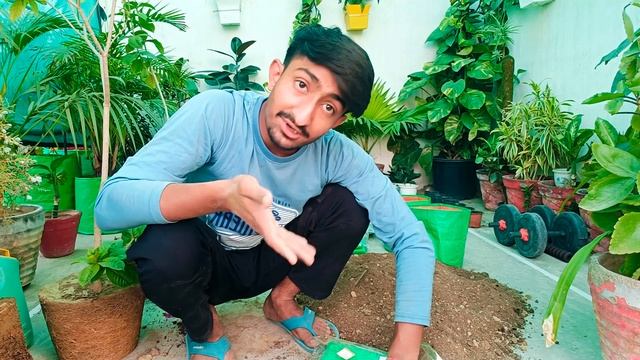 How to properly repot a plant. смотреть онлайн