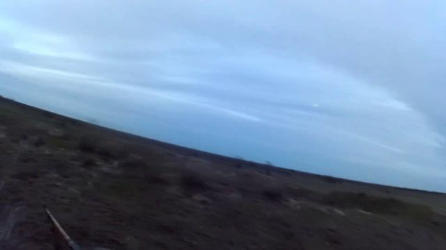 охота на шакала