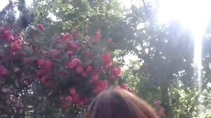 Grand Ring Кемер Турция обзор отеля и пляжа