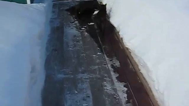 гоша скажи мяу смотреть онлайн