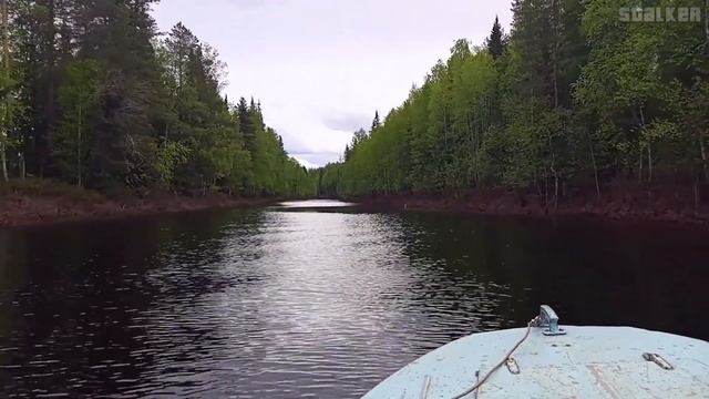 2023.06.01. Разведка на Поже. Перезалив смотреть онлайн