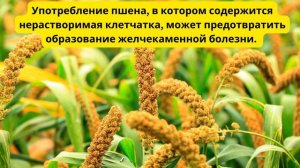 Желчегонные продукты! Лучшая еда для вашей печени!