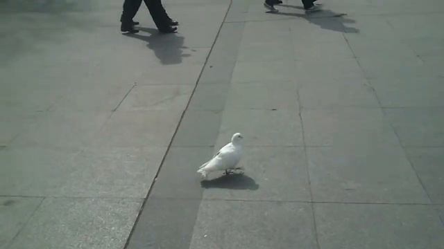 Урумчи,Китай-2013-03- смотреть онлайн