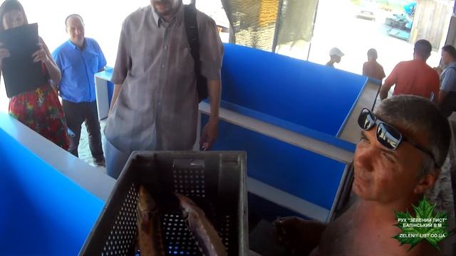 Беззаконие на курорте Лебедёвка Одесской области.Часть 1. смотреть онлайн