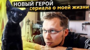 Со мной живет настоящий Американец / Порезал учебник по медицине , на кусочки!