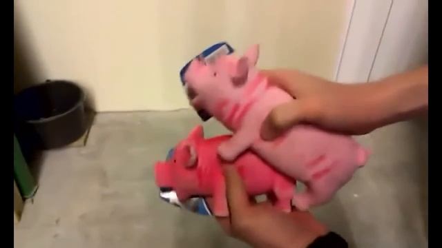 COUB лучшее за май смотреть онлайн