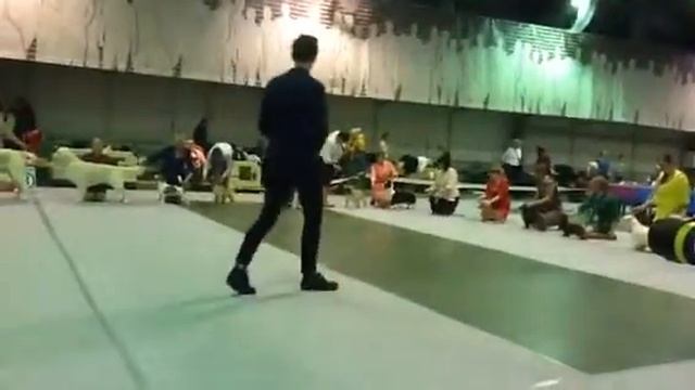 Пряник смотреть онлайн