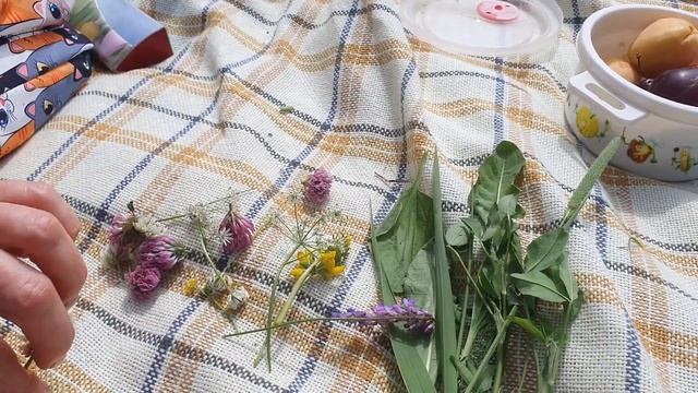 Как научить малыша игре "Четвёртый лишний "? Начинаем сортировать предметы по общему признаку смотреть онлайн