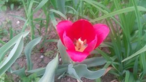 VID_20250425_094814.mp4