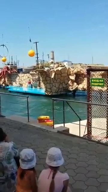 Экскурсия в дельфинарий на Большом Утрише смотреть онлайн