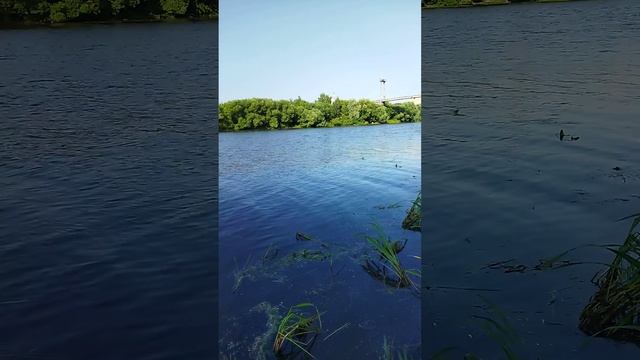 5 июля 2024 г. смотреть онлайн