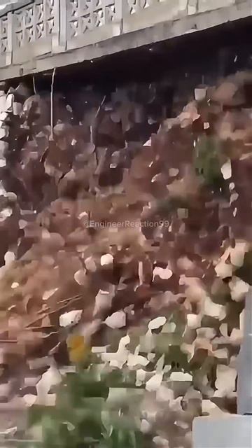 Engineer vip 158 #adamrose #construction #engineering #workers смотреть онлайн