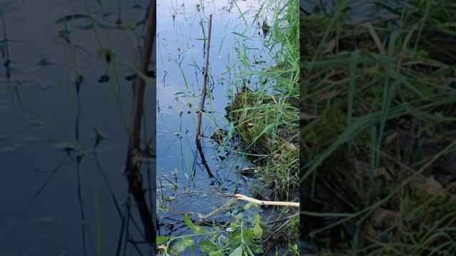 7 июля 2024 г. смотреть онлайн