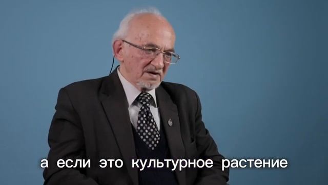 Самое ошибочное заблуждение 95% населения России.Можно ли получить необходимые нутриенты из пищи? смотреть онлайн
