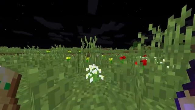 УБИВАЕМ ЛОШАДЕЙ НА 2b2t.org.ru ПРИ ПОМОЩИ МЕГА ДЮПА!!!!