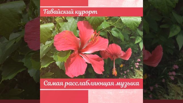 Красивая природа смотреть онлайн