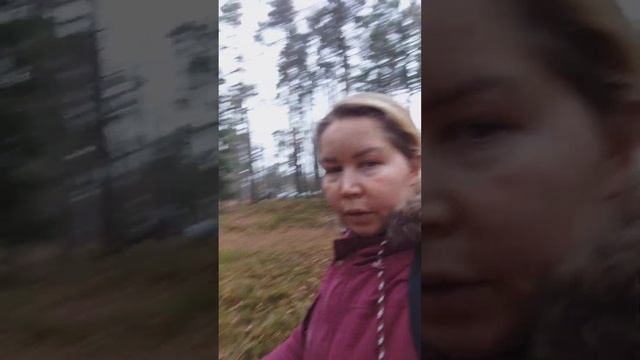 Санаторий "Северная Ривьера" Лечебный корпус. ноябрь '22. смотреть онлайн