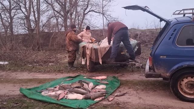 Рейд на браконьєрів | Збитки на мільйон смотреть онлайн