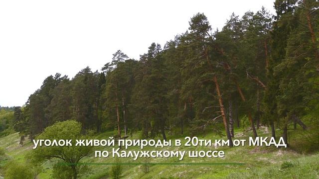 Поливаново парк по Калужскому шоссе смотреть онлайн
