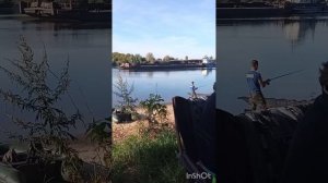 Белоомут 🐟Рыбалочка. Часть первая