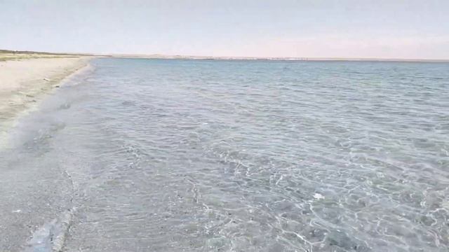 Лето на берегу Каспийского моря в Казахстане #актау #казахстан #каспийскоеморе #лето #travel #aktau смотреть онлайн