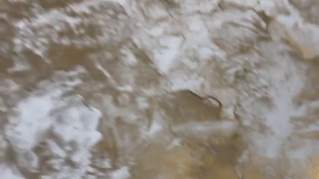 бежевый Versace ️