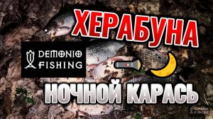 Херабуна | Ловля карася в сумерках и ночью на светящийся поплавок
