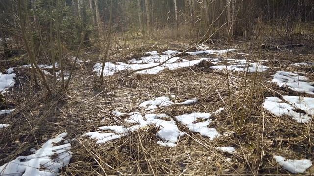 Загорские дали. Март 2020 смотреть онлайн