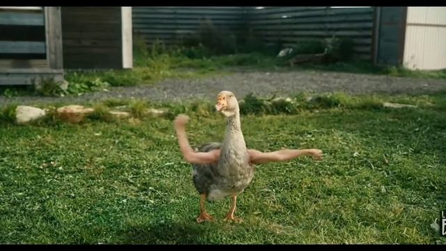 гусь флексит под легкий джас. #Shorts смотреть онлайн