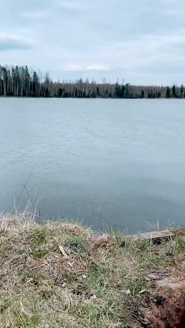 Волоколамск, Осташево смотреть онлайн