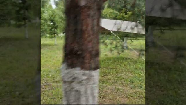 Тент-навес туристический Prival, 80г/м2, PU 4000, хаки, 3х3м смотреть онлайн