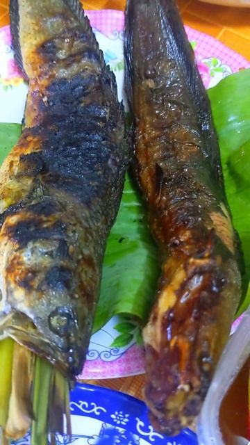 Today I Show Grilled Fish And Cucumber Pickle, Which Is A Khmer Tradition #shorts