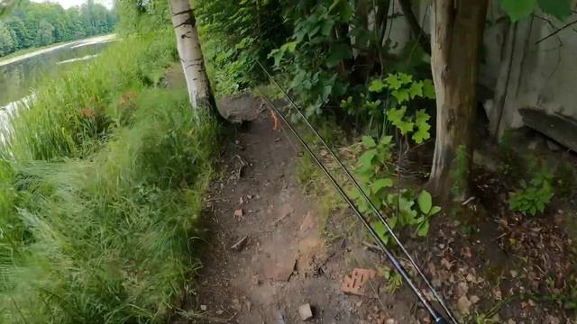 Рыбалка на реке Охта.Рыбалка в Ленинградской области.Окунь на микроджиг #fishing #микроджиг #окунь смотреть онлайн