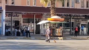 Как добраться с Аланьи в Анталию ранним утром самостоятельно!😎😍🙋♀️