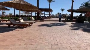 Рум-тур отеля Club Reef / Room-тур территории / наш отдых в Египте