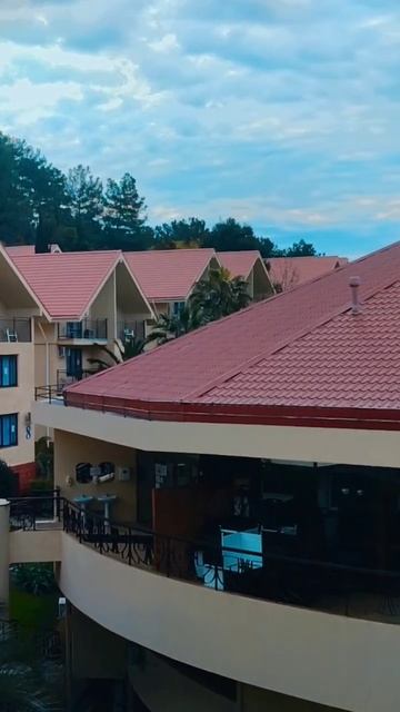 Отель "Дивный", Сочи, Лоо смотреть онлайн