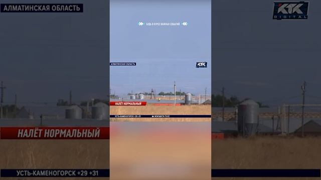 Клопов находят в постели, вещах и даже в еде жители Байкента #shortstiktok смотреть онлайн