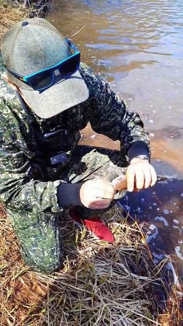 р. Ивкинка 23.04.2023 смотреть онлайн