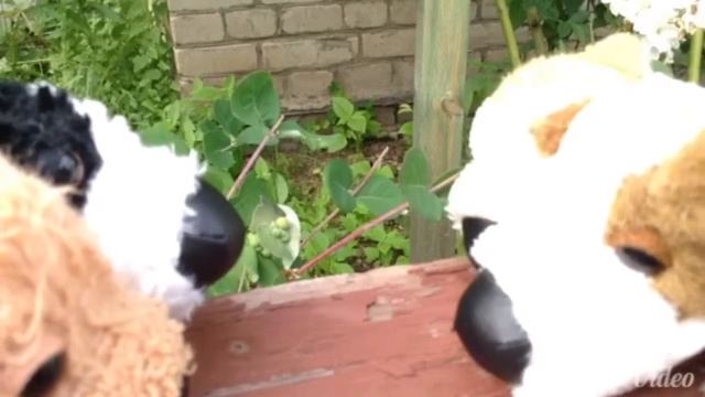 Курорт! Серия №3, сезон 2. смотреть онлайн