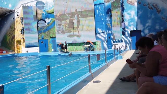 DOLPHINARIUM - ODESSA 2021 4K - ДЕЛЬФИНАРИУМ - ОДЕССА 2021 4К смотреть онлайн