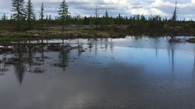 северные зарисовки смотреть онлайн