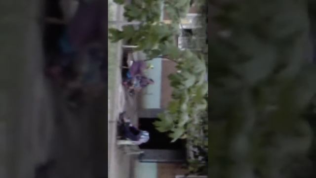 Бабушки поют песни ссср смотреть онлайн