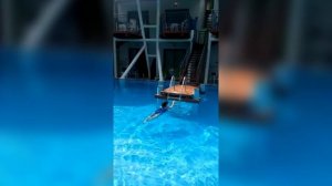 Потрясающий отель «Cornelia De Luxe Resort» обещает незабываемый отдых на берегах Средиземного моря