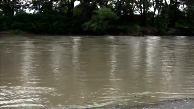 По Алазанской Долине на тарталетке 2014 смотреть онлайн