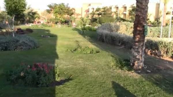 23. Египет. Хургада. Отель Three Corners Sunny Beach Resort 4*.  12.2014г.